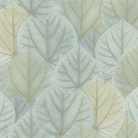 Leaf Concerto Peel & Stick Wallpaper