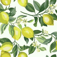 Lemon Zest P & S Wallpaper