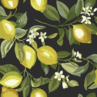 Lemon Zest P & S Wallpaper