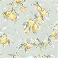 Lemonade Aqua Citrus Wallpaper