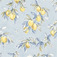 Lemonade Light Blue Citrus Wallpaper