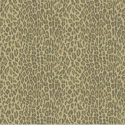 Leopard Print Wallpaper | RT147651 | Raymond Waites Resort