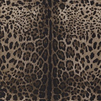 Leopardo Dolce