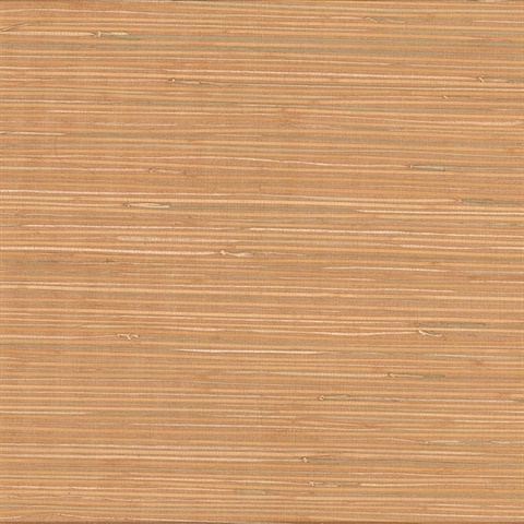 Li Na Light Brown Grasscloth Wallpaper