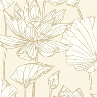 Lotus Floral