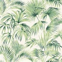 Manaus Green Palm Frond Wallpaper