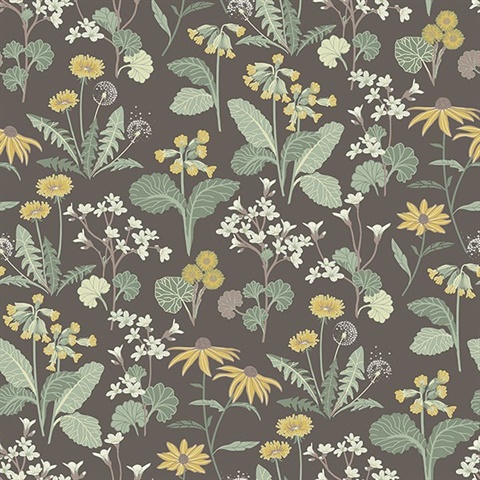 Magdalena Charcoal Dandelion Wallpaper