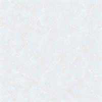 Marbled Plaster Wallpaper