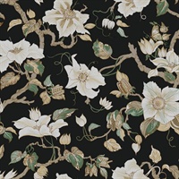 Marguerite Vine Black Wallpaper