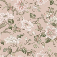 Marguerite Vine Blush Wallpaper