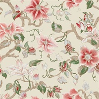 Marguerite Vine Cream Wallpaper