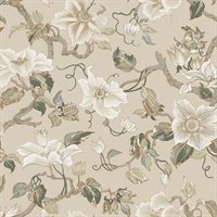 Marguerite Vine Taupe Wallpaper