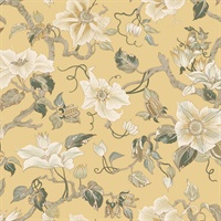 Marguerite Vine Yellow Wallpaper