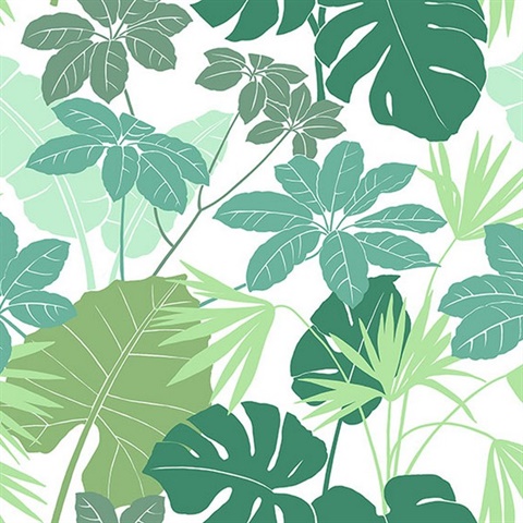 Medellin Green Rainforest Floor Wallpaper