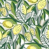 Meyer Yellow Citrus Wallpaper