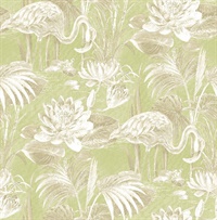Miltonia Green Flamingo Wallpaper