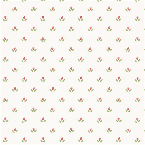 Mini Tulip Wallpaper