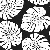 Monstera Leaf Wallpaper