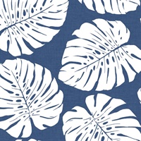 Monstera Leaf Wallpaper