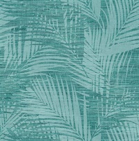 Motmot Turquoise Palm Wallpaper