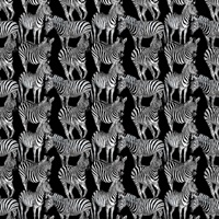 Multi Zebra Mural