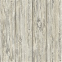Mushroom Wood Grey Peel & Stick Wallpaper