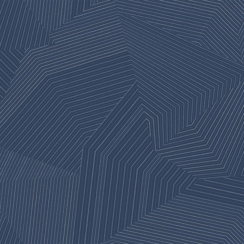 Navy Dotted Maze Wallpaper