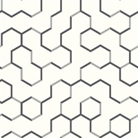 Open Geometric Black Peel & Stick Wallpaper