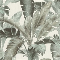 Orissa Sage Palm Frond Wallpaper