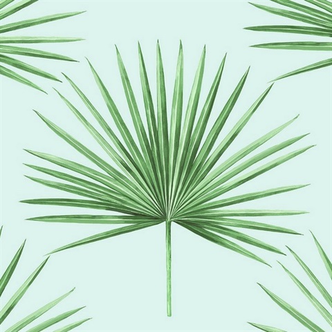 Pacific Palm