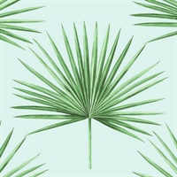 Pacific Palm