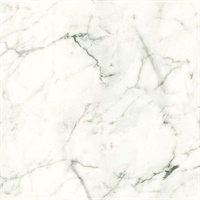 Palace Marble Peel and Stick Wallpaper