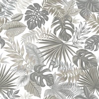 Palm Frond Toss Peel & Stick Wallpaper