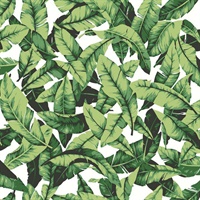 Palm Leaf P & S Wallpaper