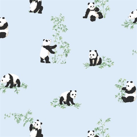 Panda P &amp; S Wallpaper