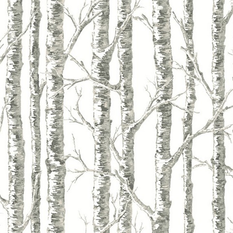 Paper Birch Wallpaper