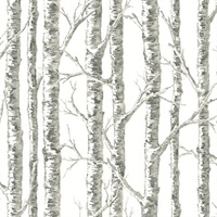 Paper Birch Wallpaper