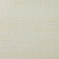 Paperweave and Hemp Wallpaper