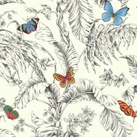 Primary Papillon Wallpaper