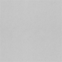 Parget Morgondis Light Grey Textured Wallpaper