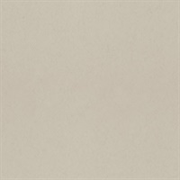 Parget Sand Taupe Textured Wallpaper