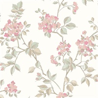 Parry Pink Floral Wallpaper