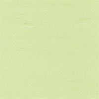 Peiyan Light Green Grasscloth Wallpaper
