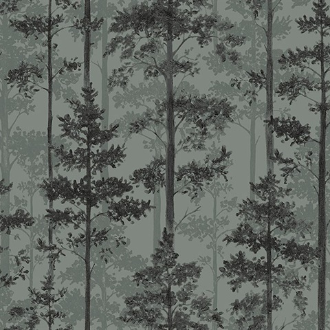 Pine Sage Silhouette Trees Wallpaper