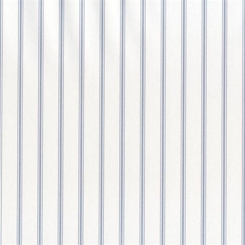 Lined Blue Stripes