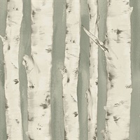Pioneer Sage Birch Tree Wallpaper