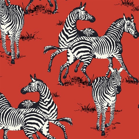 Playful Zebras Wallpaper