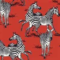 Playful Zebras Wallpaper