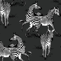 Playful Zebras Wallpaper