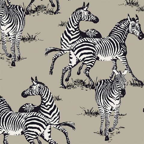 Playful Zebras Wallpaper